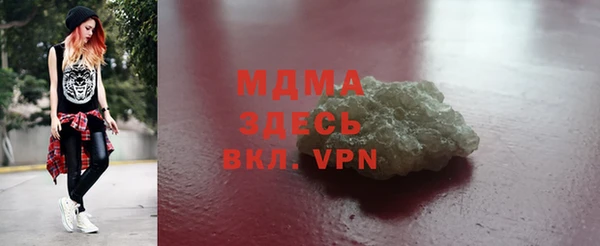 стаф Алзамай