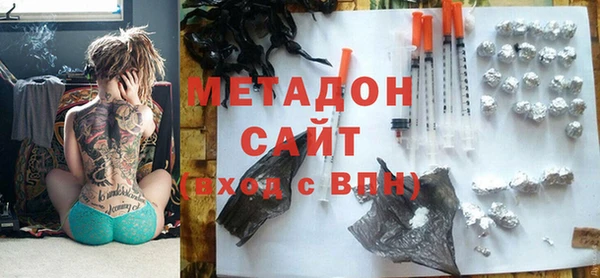 стаф Алзамай