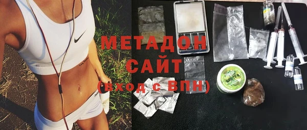 стаф Алзамай
