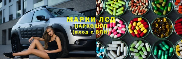 стаф Алзамай